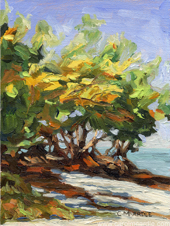 Sweet and Sunny 8x6